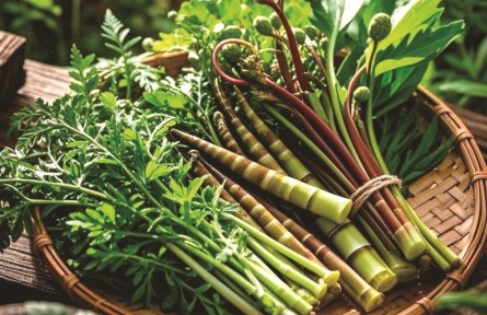 野菜嘗鮮季，如何避免舌尖風(fēng)險(xiǎn)