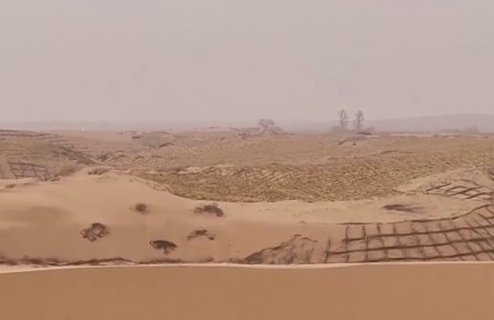 內(nèi)蒙古：新科技破解治沙難點 毛烏素沙地春季治沙工作開展