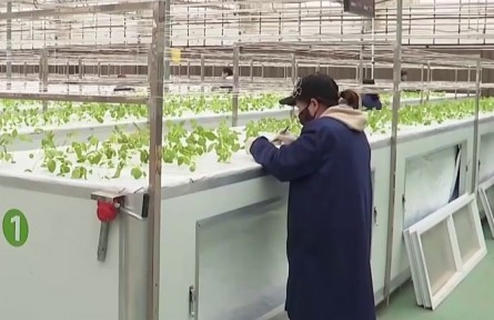 甘肅榆中：馬鈴薯春播進(jìn)入關(guān)鍵期 芯片檢測保駕護(hù)航