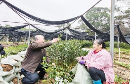 全國崗位學(xué)雷鋒標(biāo)兵鄧蔭偉：點(diǎn)樹成金的“泥腿教授”