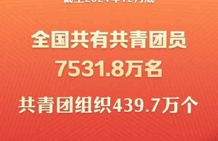 截至2024年底全國(guó)共有共青團(tuán)員7531.8萬名