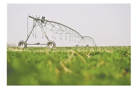 新疆阿克蘇地區(qū)：沙漠披“綠圍脖”，發(fā)展添“金鑰匙”