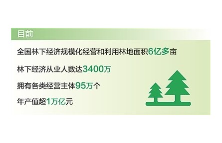 發(fā)展林下經(jīng)濟(jì)首次寫入《政府工作報(bào)告》 我國(guó)林下經(jīng)濟(jì)年產(chǎn)值超1萬億元