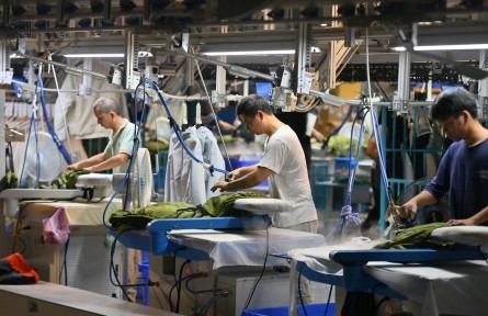 民營經(jīng)濟(jì)促進(jìn)法 private sector promotion law