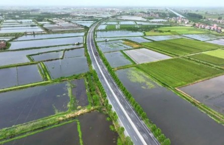 湖北江陵：小龍蝦“鏈”出大產(chǎn)業(yè)！繪就農(nóng)業(yè)發(fā)展新圖景