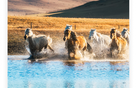 名言|曾子：人非人不濟，馬非馬不走，土非土不高，水非水不流