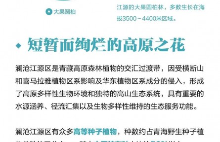 走近三江源|認(rèn)識三江源：高原峽谷綻生機（下）