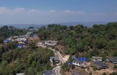 云南西雙版納：一片葉子串起“致富鏈”