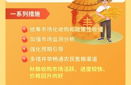 全國(guó)秋糧收購(gòu)?fù)昝朗展?新一季夏糧收購(gòu)即將開啟