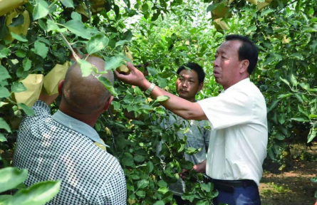 楊雙牛：40年深耕，石頭縫里長出億元產(chǎn)業(yè)