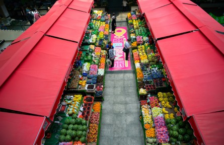 縣融記者：瓜果飄香 邀你嘗鮮