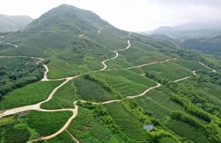 貴州黔南州：錨定農(nóng)業(yè)支撐產(chǎn)業(yè) 進(jìn)一步夯實鄉(xiāng)村振興基礎(chǔ)