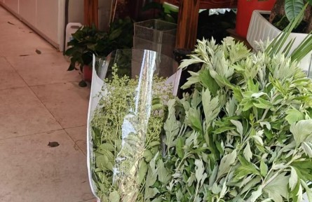 身價(jià)大漲！艾草花束成年輕人的端午“新寵”