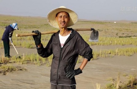 世界環(huán)境日|老兵治沙隊(duì)的綠色守望