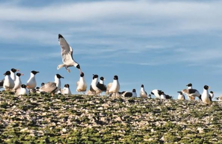 青海：一湖碧水里的生態(tài)答卷