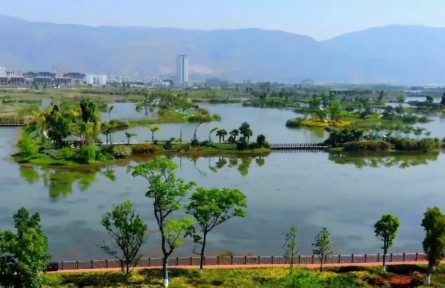 呵護“高原之腎” 云南系統(tǒng)推進高原濕地保護修復(fù)