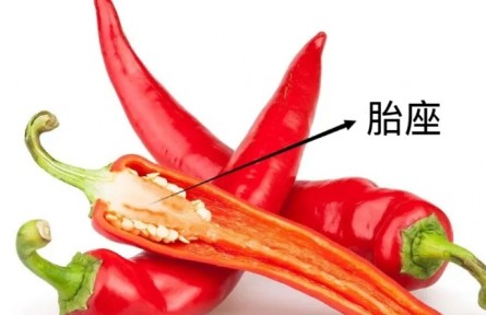 辟謠|辣椒最辣的部位是籽？這是真的嗎？