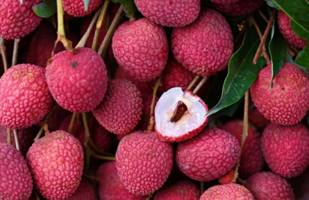 福建的荔枝，包甜的！