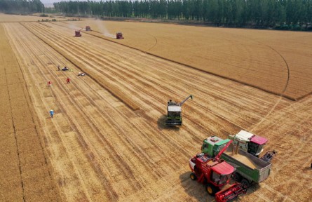 讓更多“豐收在望”變成“豐收到手”——“三夏”機(jī)收減損一線(xiàn)觀(guān)察