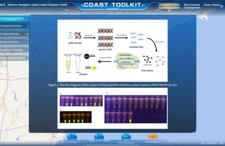 我國(guó)海島治理成果亮相聯(lián)合國(guó)海洋大會(huì)