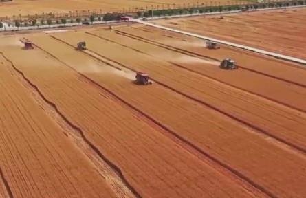 【新思想引領新征程】嚴守耕地紅線 提升耕地質量