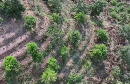 云南臨滄：一?？Х榷沟摹皠?chuàng)新突圍”