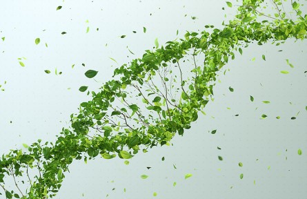 科技名詞|生長因子 growth factor，GF