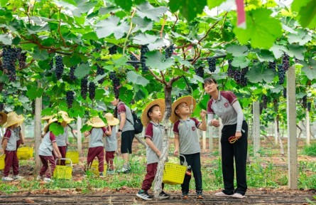 縣融記者：夏日長 果飄香