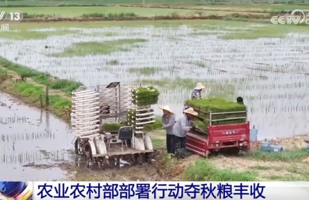 全力以赴打牢秋糧豐收基礎(chǔ) 奮戰(zhàn)100天防汛抗災(zāi)、抓夏管、提單產(chǎn)