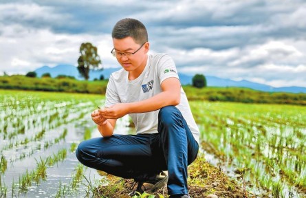 新時(shí)代青年先鋒獎獲得者張建平：精研生態(tài)種植 守護(hù)高原糧倉