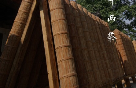 一柱千兩茶，半部茶葉史