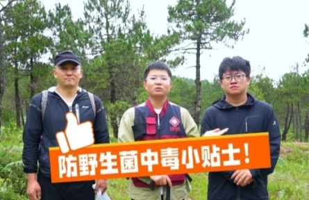 這份“防野生菌中毒小貼士”請收好！