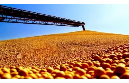 黑龍江黑河：聚才強(qiáng)豆賦能產(chǎn)業(yè)騰飛