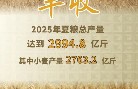 2994.8億斤！2025年夏糧“成績單”出爐