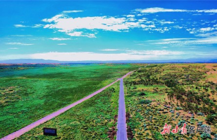 甘肅武威：創(chuàng)新模式打造全國(guó)荒漠化治理樣板區(qū)