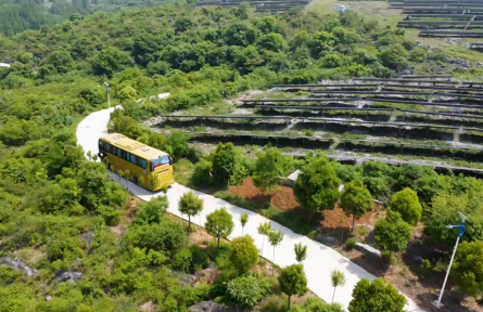 湖北老河口市牧場(chǎng)村：昔日荒山變成“綠色銀行”
