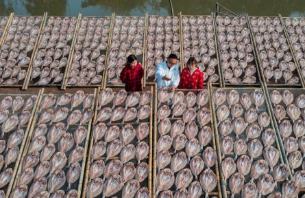 浙江溫嶺：“海味經(jīng)濟(jì)”闖出“靠海吃?！毙侣纷?></a></td>
<td align=