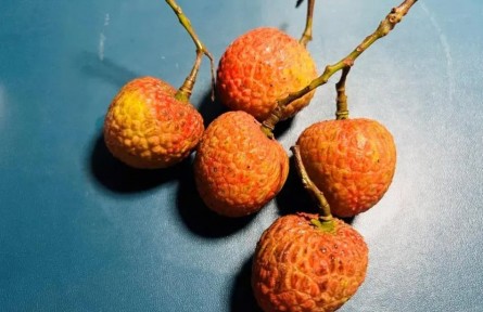 吃荔枝能降糖？千萬不要這么做！
