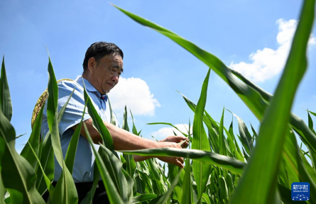 “不管啥時(shí)候，都要把地種好”——記時(shí)代楷模、“種糧大戶”徐淙祥