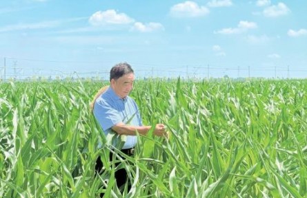 53本筆記，半個世紀(jì)“糧心”——記時代楷模、安徽省太和縣種糧大戶徐淙祥