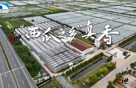 《是這個理》：“西瓜之鄉(xiāng)”真香