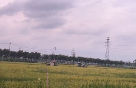 浙江湖州：春糧生產(chǎn)實(shí)現(xiàn)“三增長”