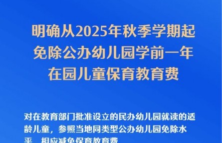 國務院辦公廳印發(fā)《關(guān)于逐步推行免費學前教育的意見》