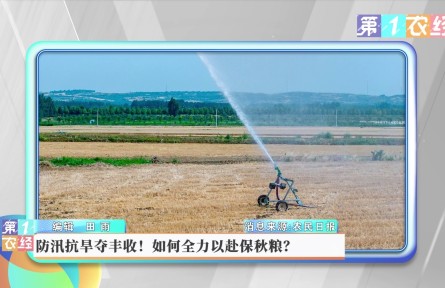 防汛抗旱奪豐收！如何全力以赴保秋糧？