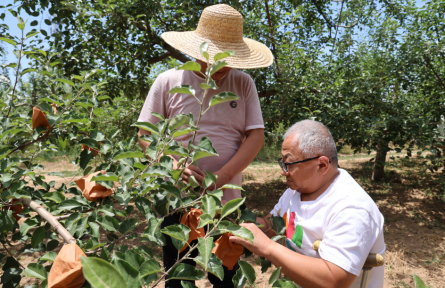 全國自強模范、“瓷娃娃”屈萬平：拄著雙拐的“蘋果CEO”