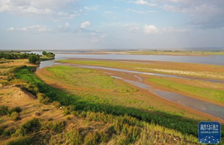 內(nèi)蒙古阿拉善：生態(tài)修復(fù) 阻沙入河
