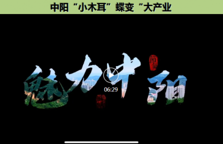 家鄉(xiāng)農(nóng)產(chǎn)品大學(xué)生推薦官｜品牌短視頻④：中陽“小木耳”蝶變“大產(chǎn)業(yè)”