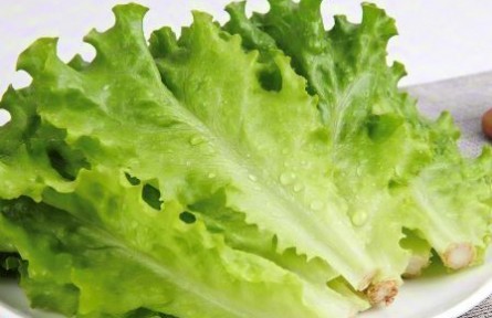 辟謠|生吃生菜真的會(huì)感染寄生蟲(chóng)嗎？