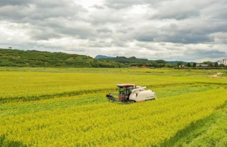 福建三明建寧：構(gòu)建“五子四業(yè)”體系 推動(dòng)產(chǎn)業(yè)融合發(fā)展