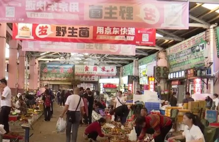 保護生態(tài) 科技支撐 做強市場 云南推動食用菌產(chǎn)業(yè)高質(zhì)量發(fā)展